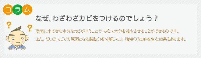 コラム なぜ、わざわざカビを付けるのでしょう? 表面に出てきた水分をカビがすうことで、さらに水分を減少させることができるのです。また、だしのにごりの原因となる脂肪分を分解したり、独特のうま味を生む効果もあります。