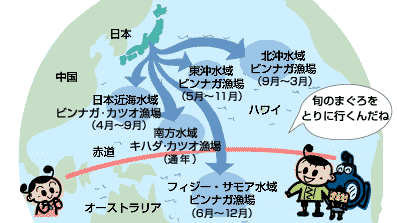 日本 中国 日本近海水域ビンナガ・カツオ魚場(4月~9月) 東沖水域ビンナガ魚場(5月~11月) 北沖水域ビンナガ魚場(9月~3月) ハワイ 旬のまぐろをとりに行くんだね 赤道 南方水域キハダ・カツオ魚場(通年) フィジー・サモア水域ビンナガ魚場(6月~12月) オーストラリア