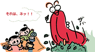それは、ネッ!!