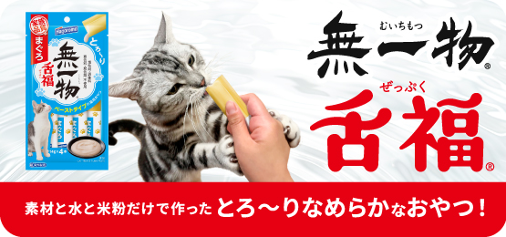 「無一物 舌福」素材と水と米粉だけで作ったとろ～りなめらかなおやつ！
