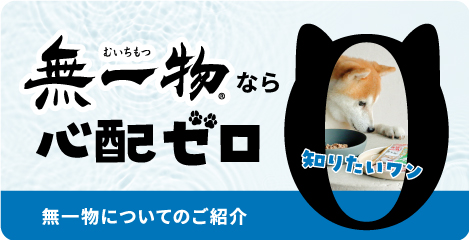 無一物なら心配ゼロ「無一物についてのご紹介」