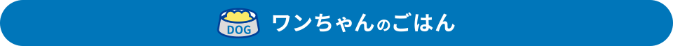 ワンちゃんのごはん