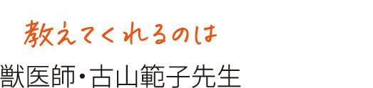 教えてくれるのは 獣医師・古山範子先生