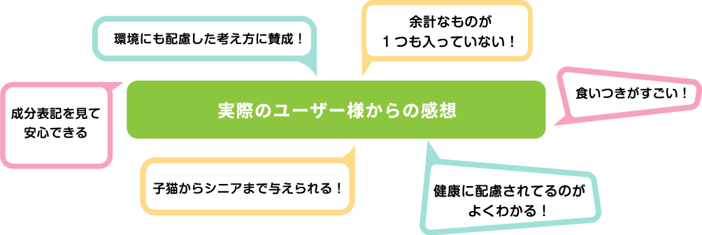 実際のユーザー様からの感想