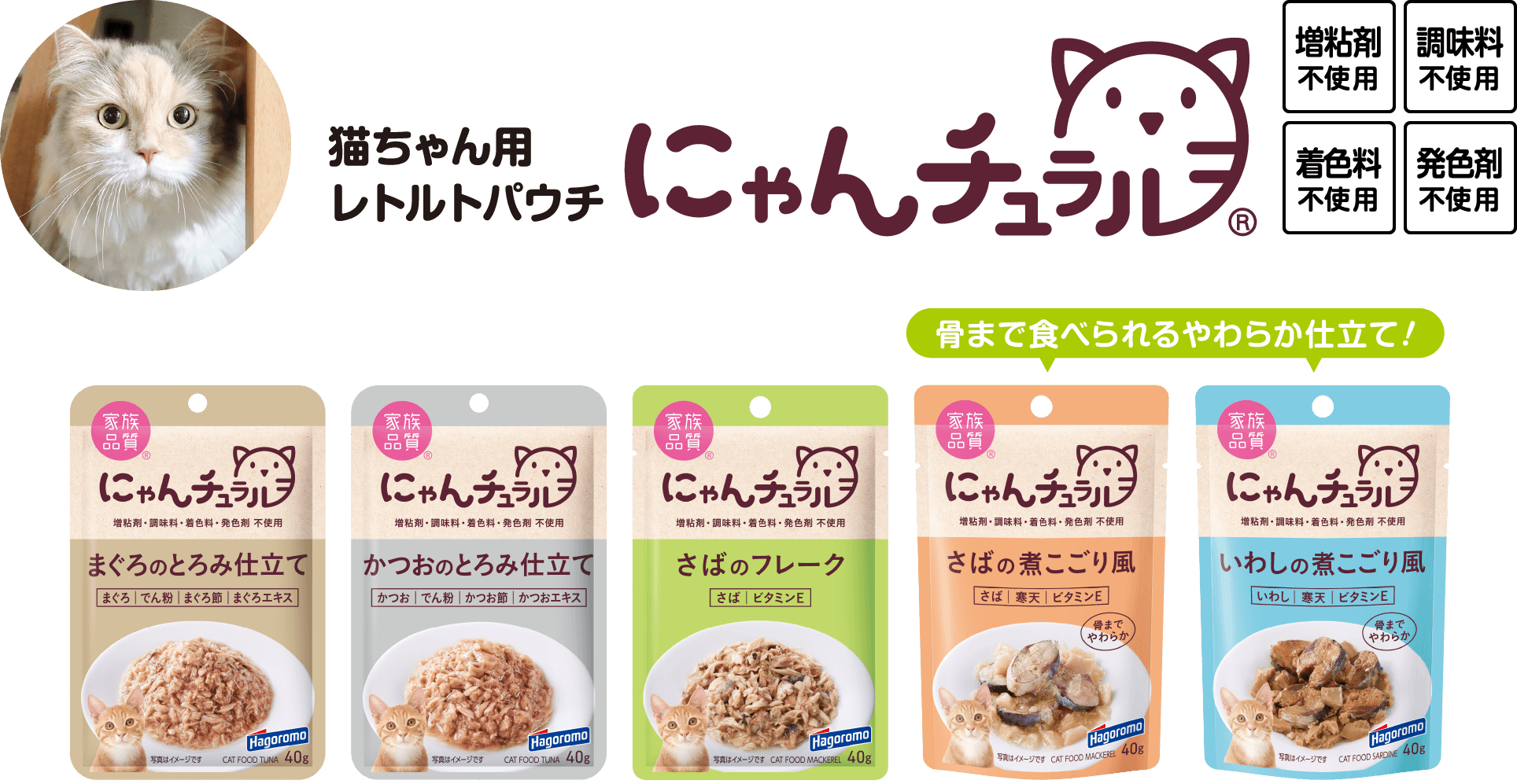 猫ちゃん用 レトルトパウチ にゃんチュラル