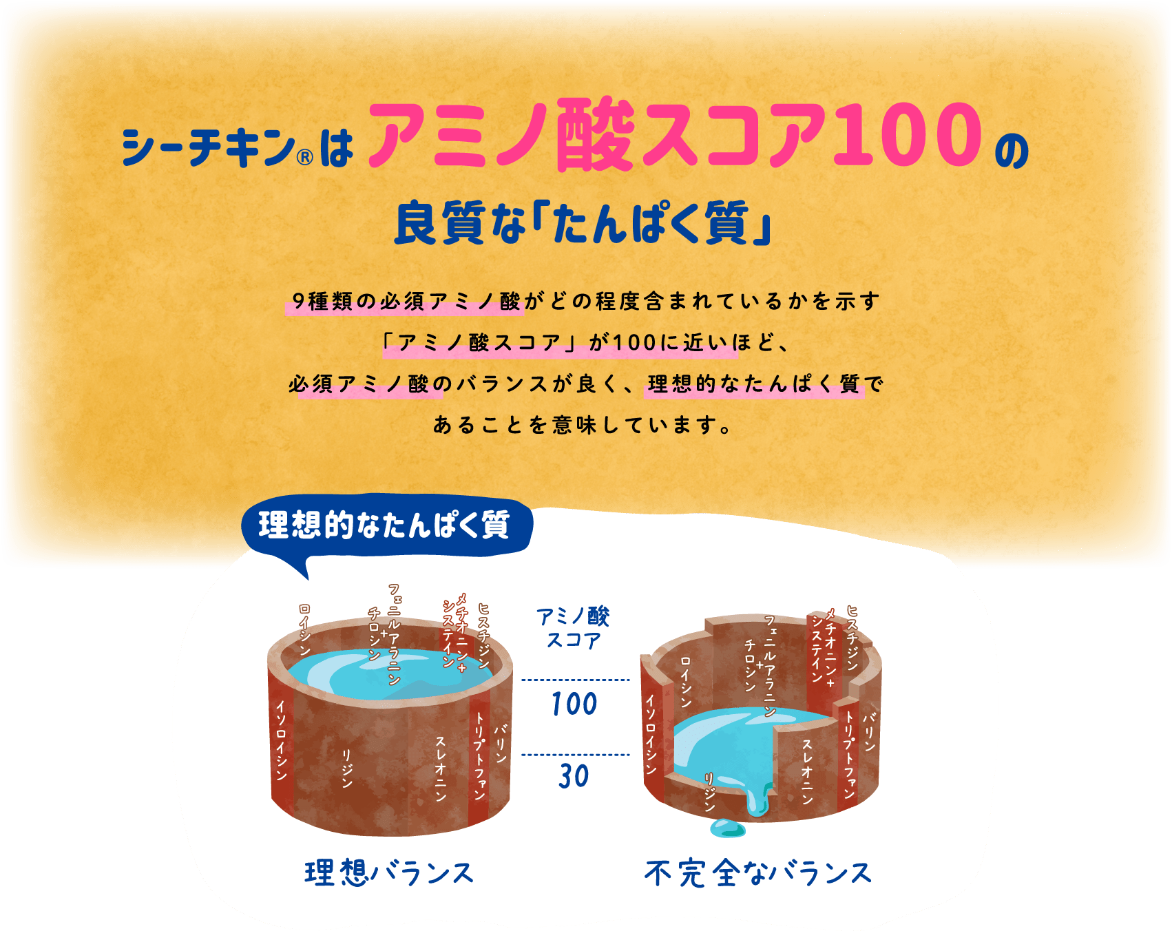 シーチキン®はアミノ酸スコア100の良質な「たんぱく質」