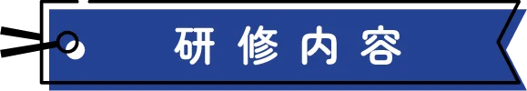 研修内容