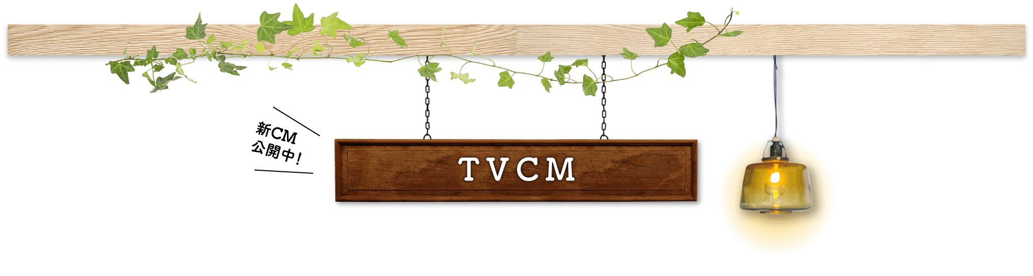 TVCM