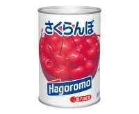 さくらんぼ 枝付 JASなし