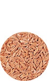 シーチキン L フレーク（タイ産）