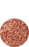 小えび 着色　500g