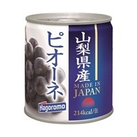 【2024年9月製造終了】山梨県産 ピオーネ